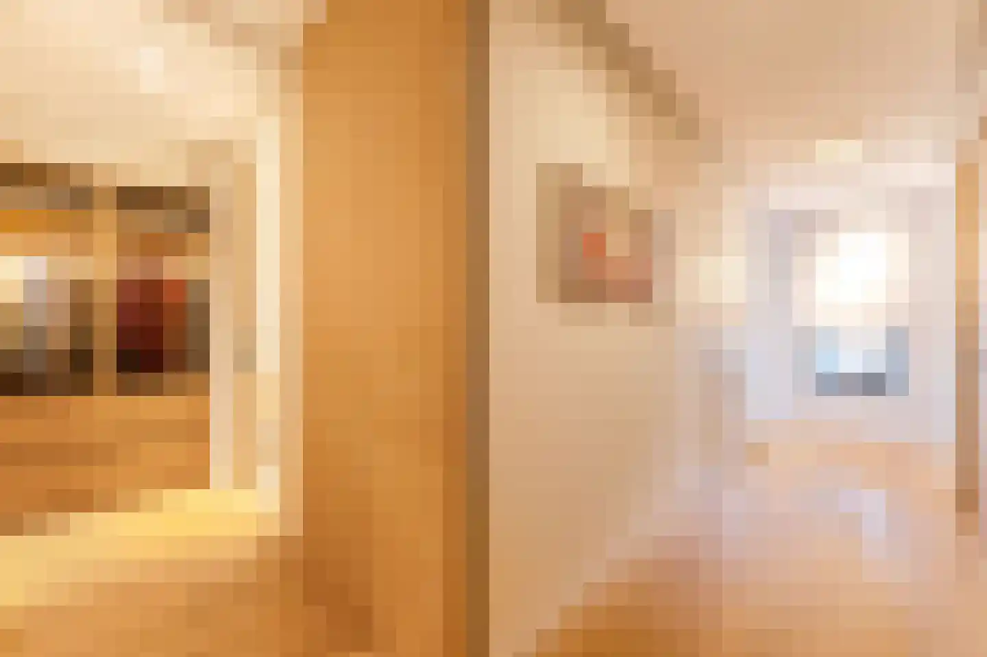 Pieter de Hoochstraat 11 D 1 Amsterdam thumbnail 18