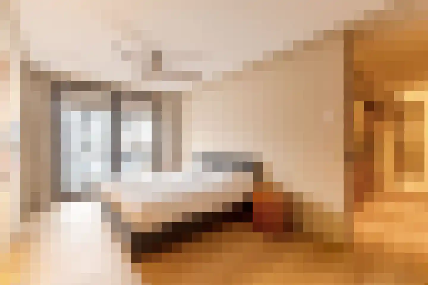 Pieter de Hoochstraat 11 D 1 Amsterdam thumbnail 19