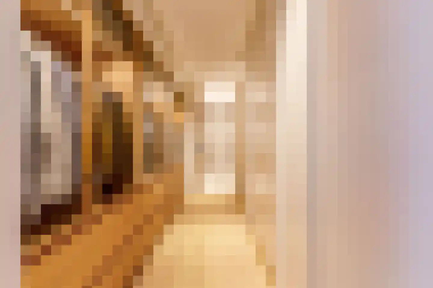 Pieter de Hoochstraat 11 D 1 Amsterdam thumbnail 20