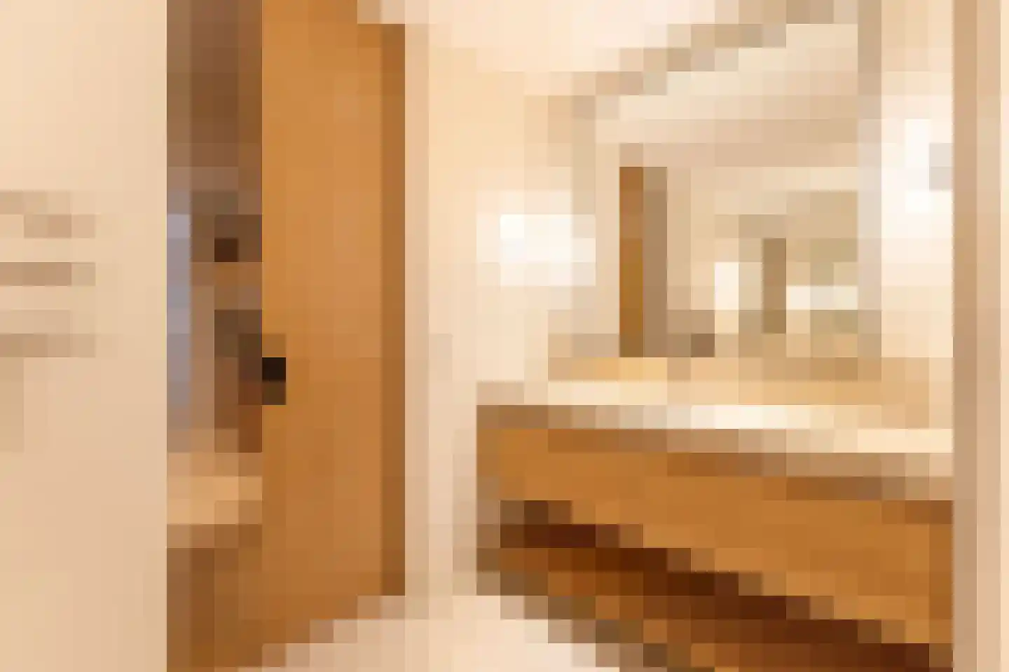 Pieter de Hoochstraat 11 D 1 Amsterdam thumbnail 23