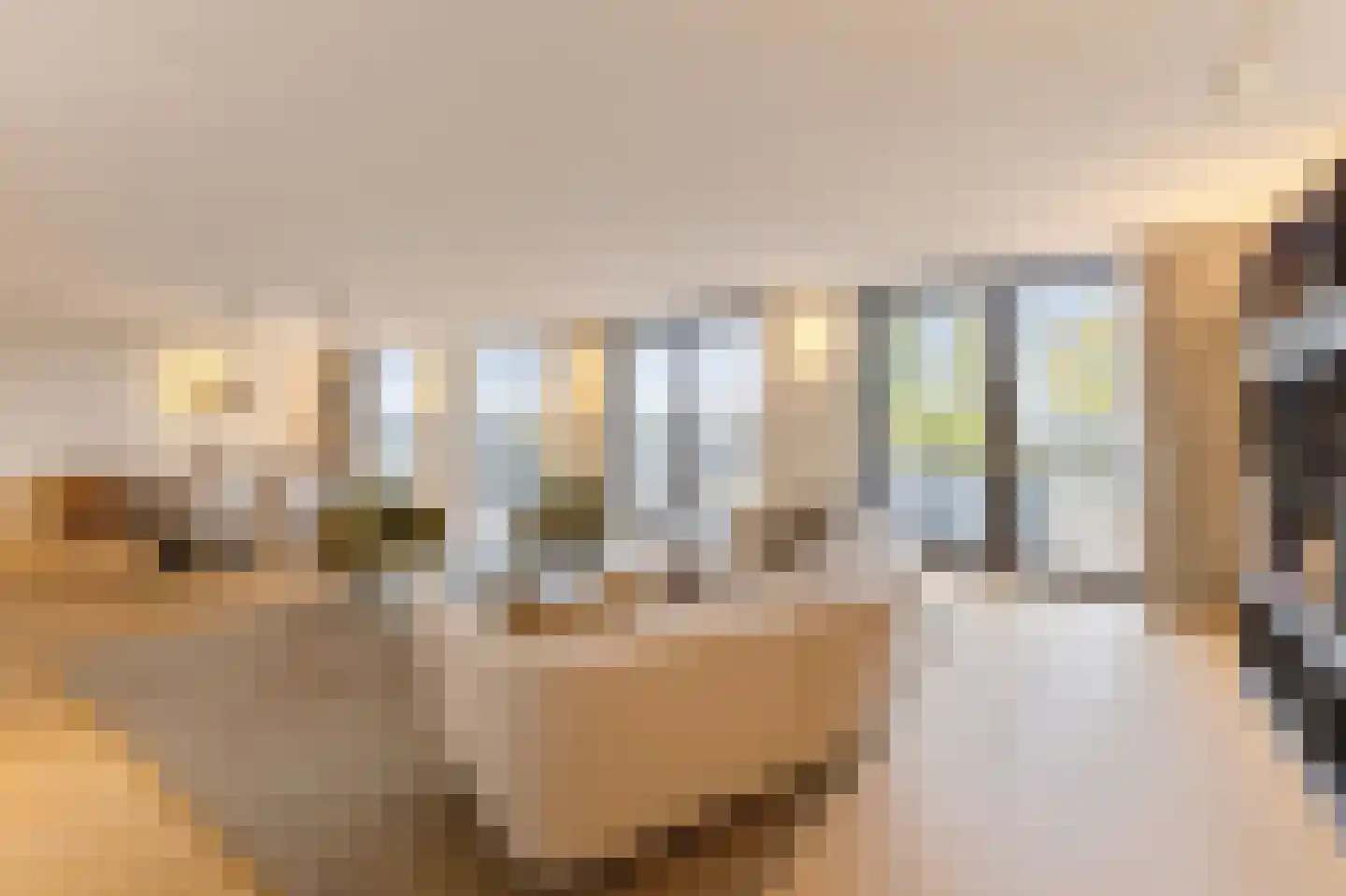 Pieter de Hoochstraat 11 D 1 Amsterdam thumbnail 28