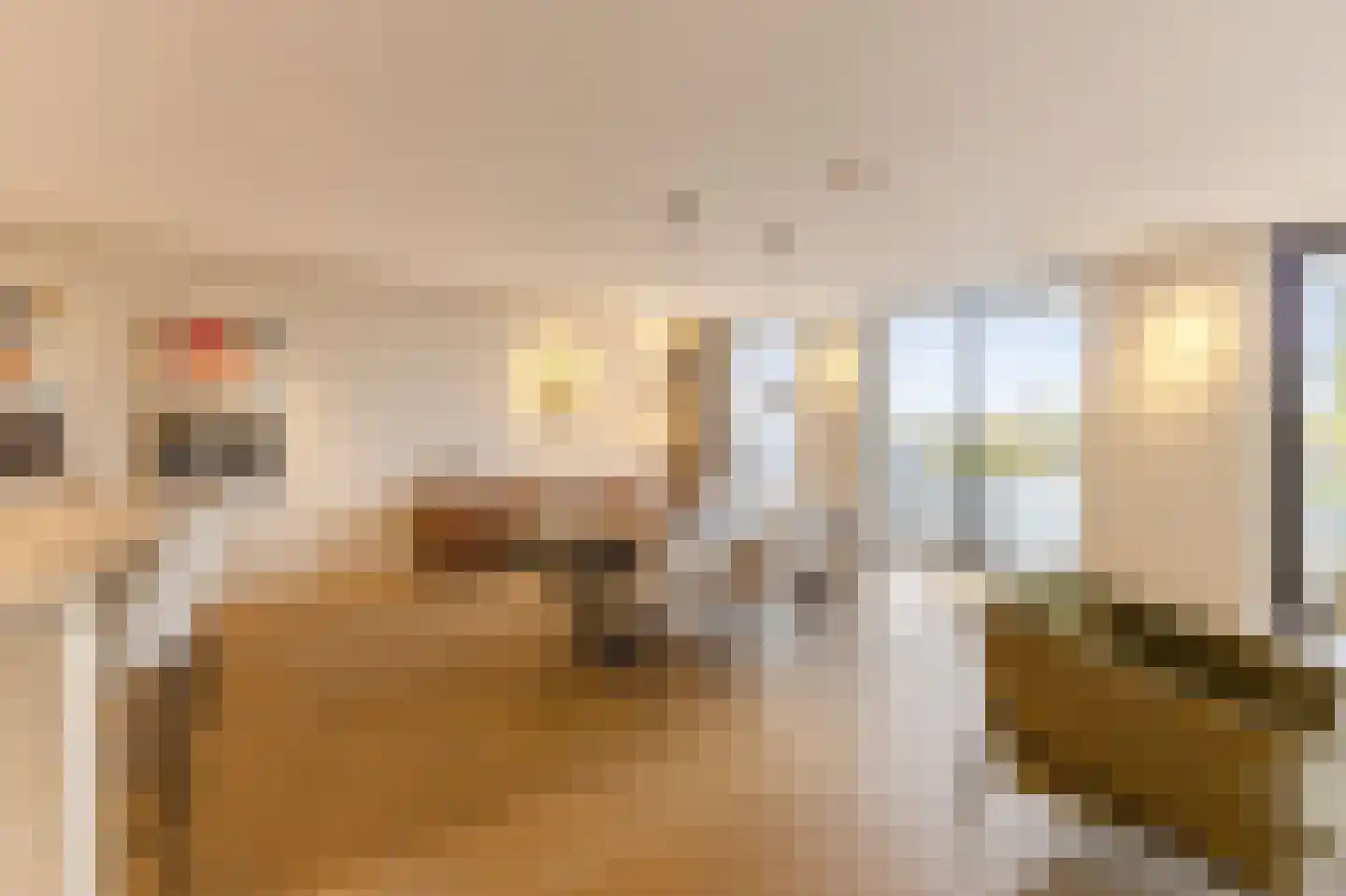 Pieter de Hoochstraat 11 D 1 Amsterdam thumbnail 30
