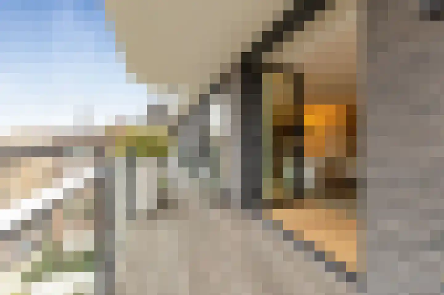 Pieter de Hoochstraat 11 D 1 Amsterdam thumbnail 36