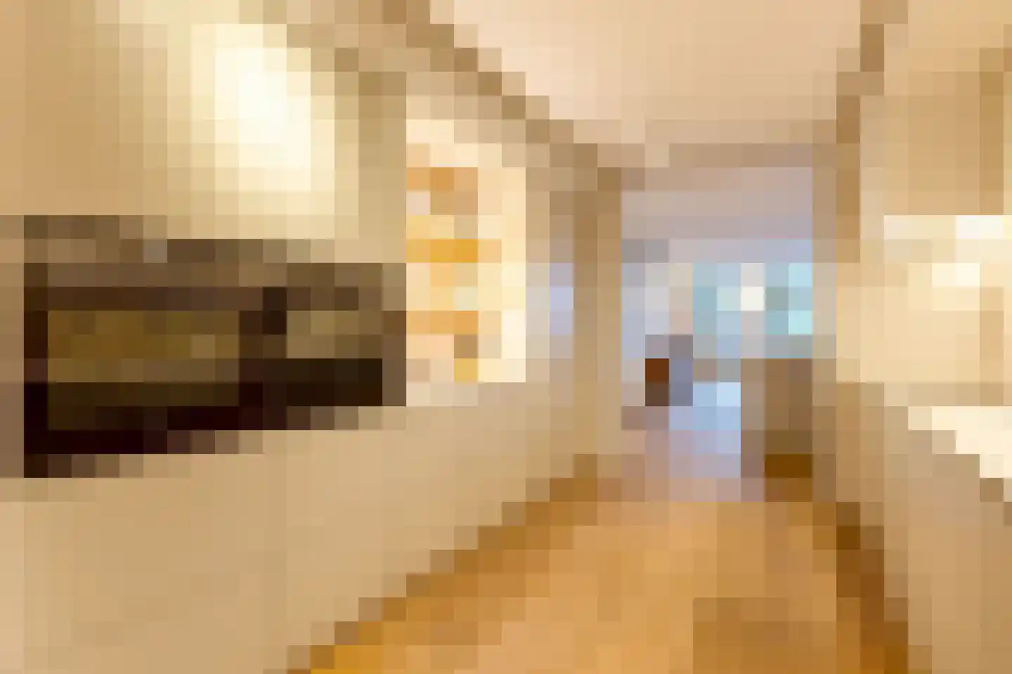 Pieter de Hoochstraat 11 D 1 Amsterdam thumbnail 37