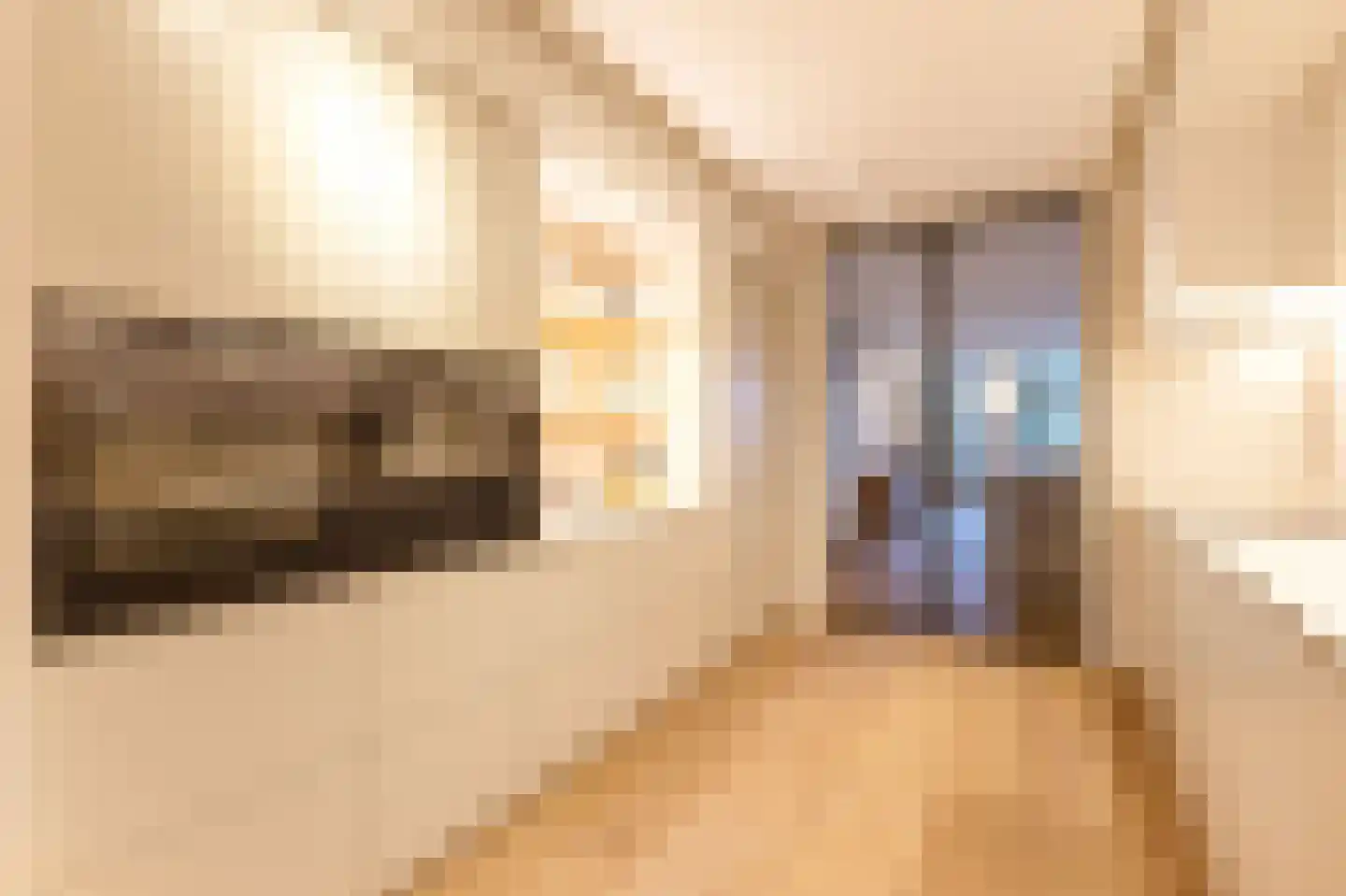 Pieter de Hoochstraat 11 D 1 Amsterdam thumbnail 38