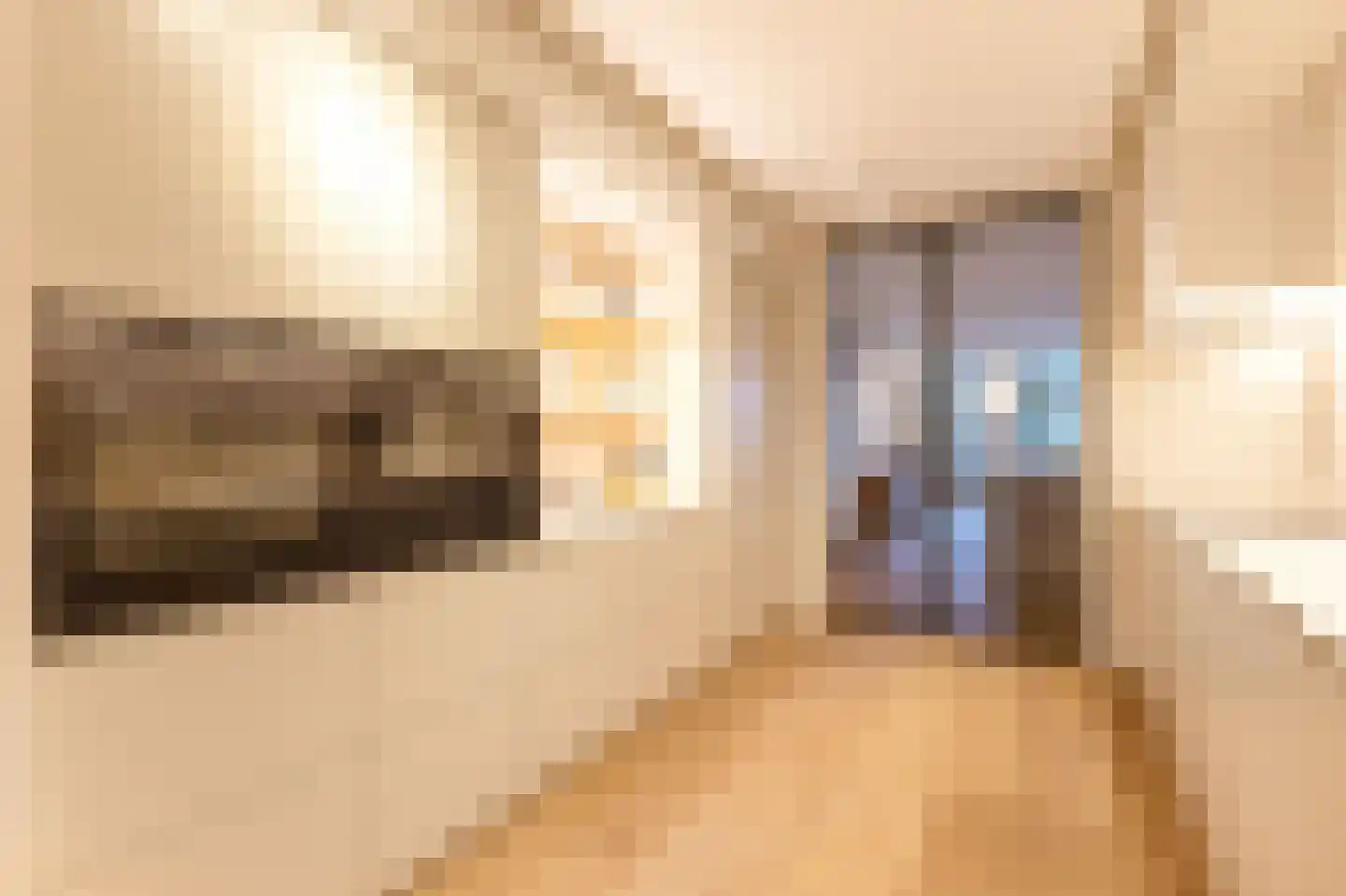 Pieter de Hoochstraat 11 D 1 Amsterdam thumbnail 38