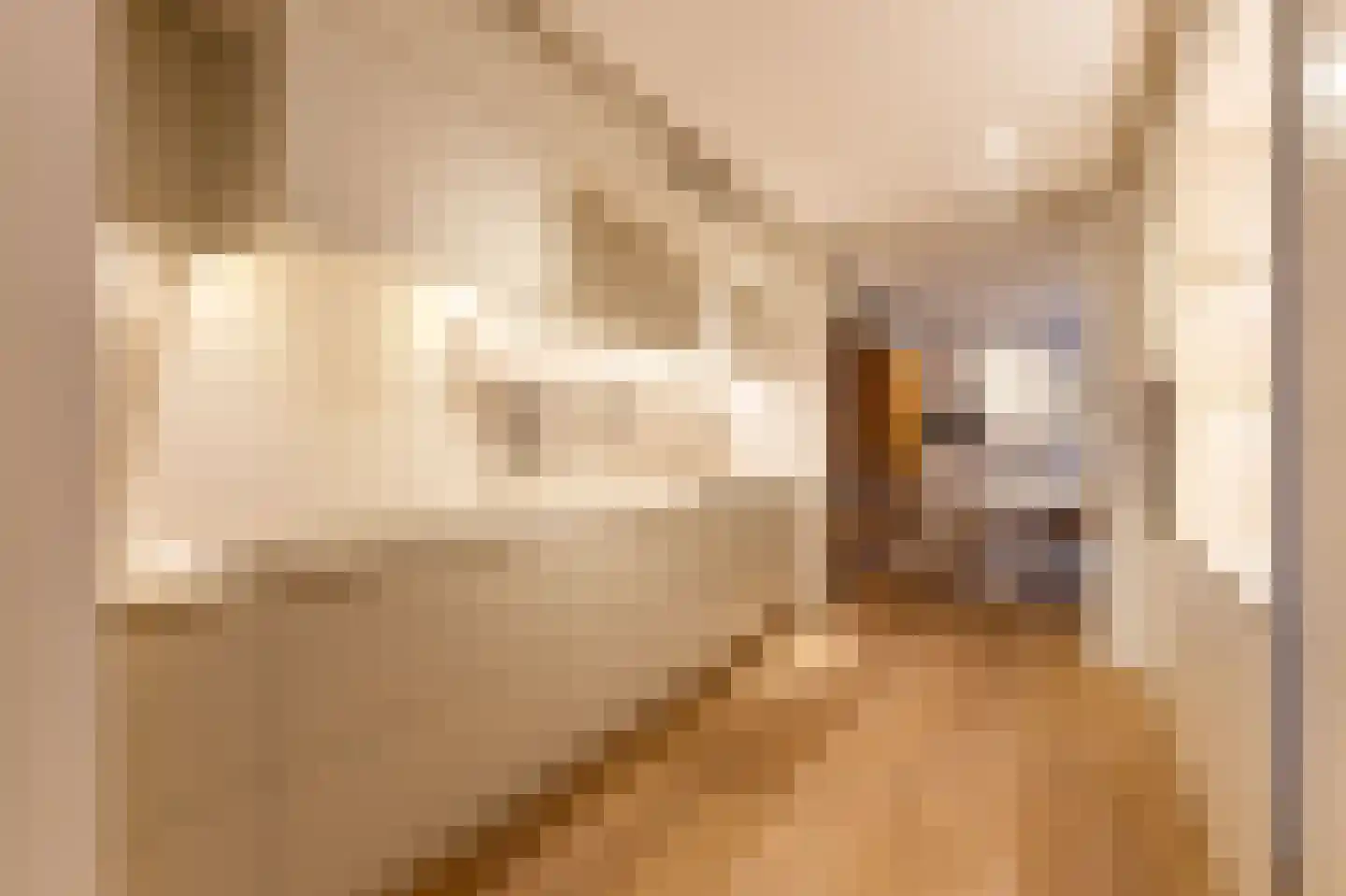 Pieter de Hoochstraat 11 D 1 Amsterdam thumbnail 39