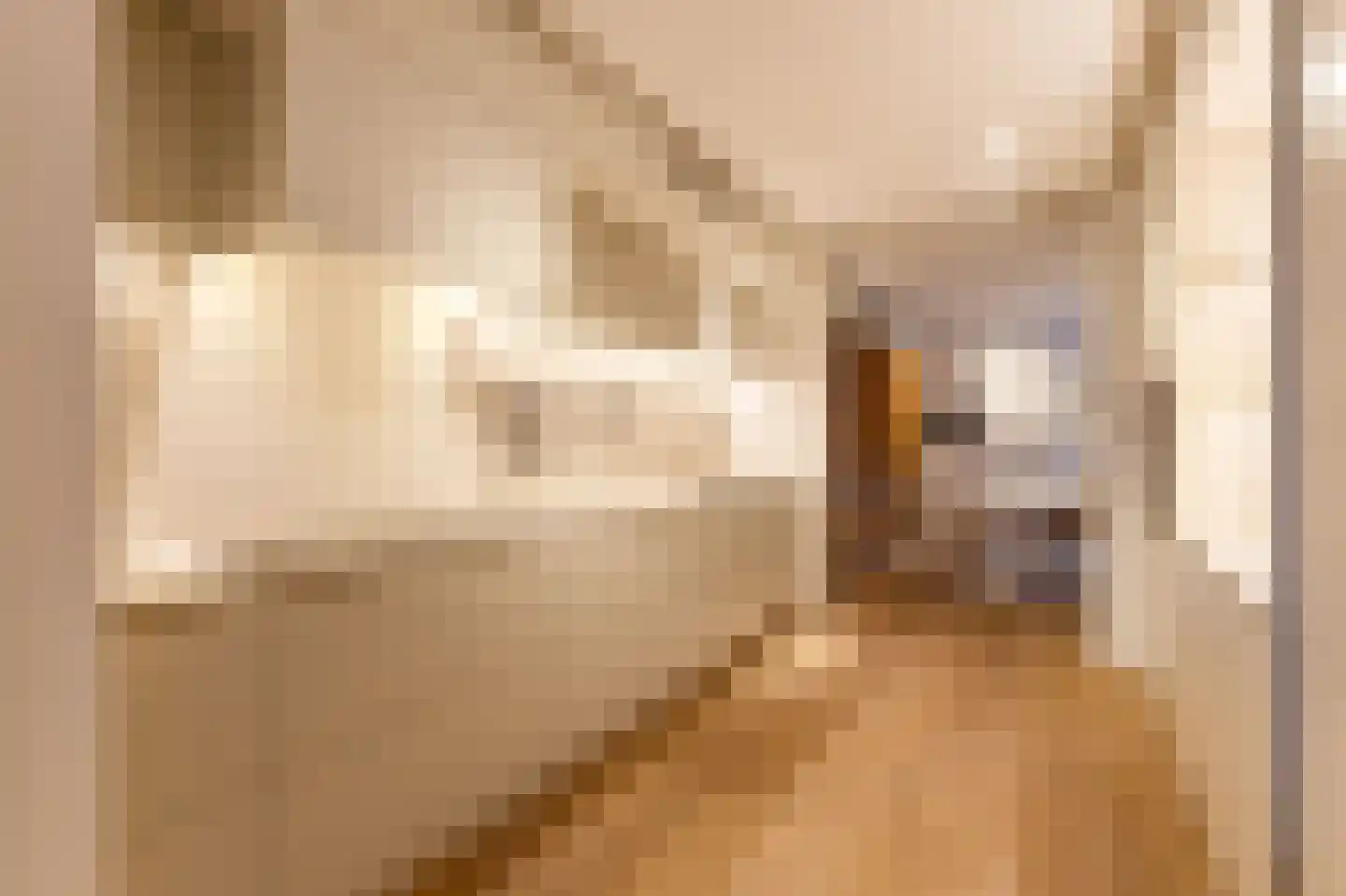 Pieter de Hoochstraat 11 D 1 Amsterdam thumbnail 39