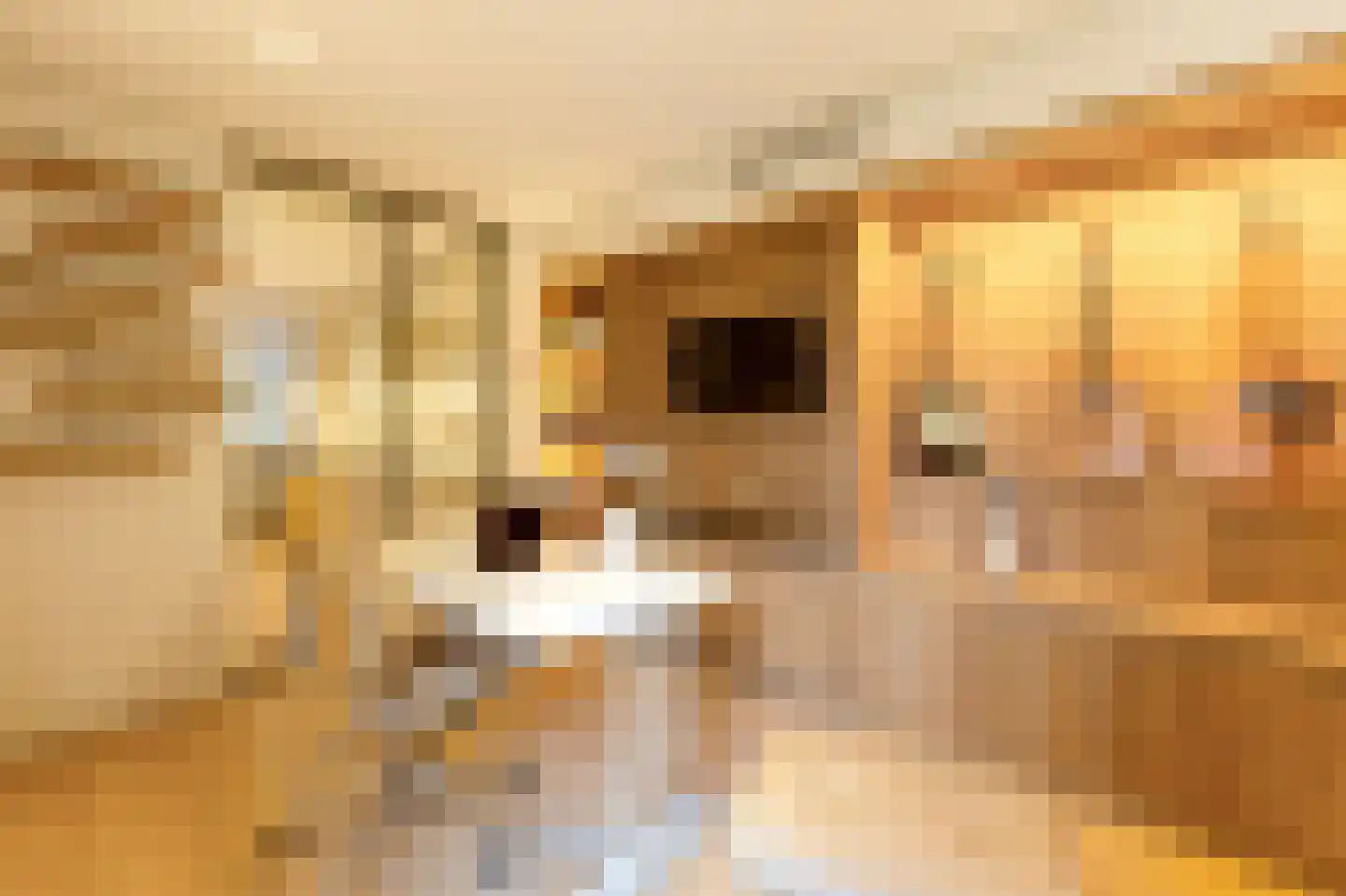 Pieter de Hoochstraat 11 D 1 Amsterdam thumbnail 41