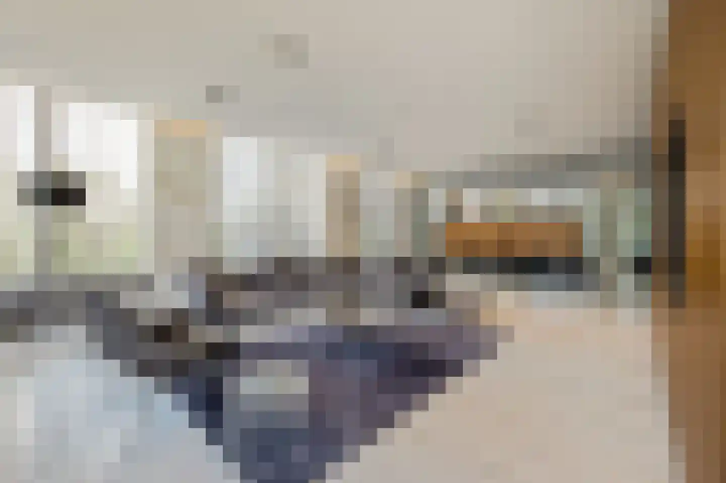 Pieter de Hoochstraat 11 D 1 Amsterdam thumbnail 8