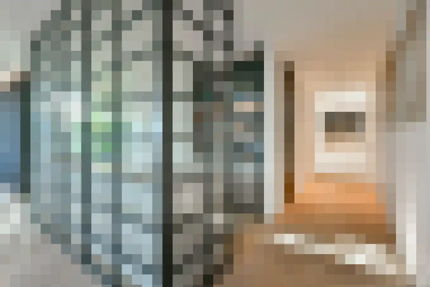 Pieter de Hoochstraat 11 F 4 Amsterdam thumbnail 20