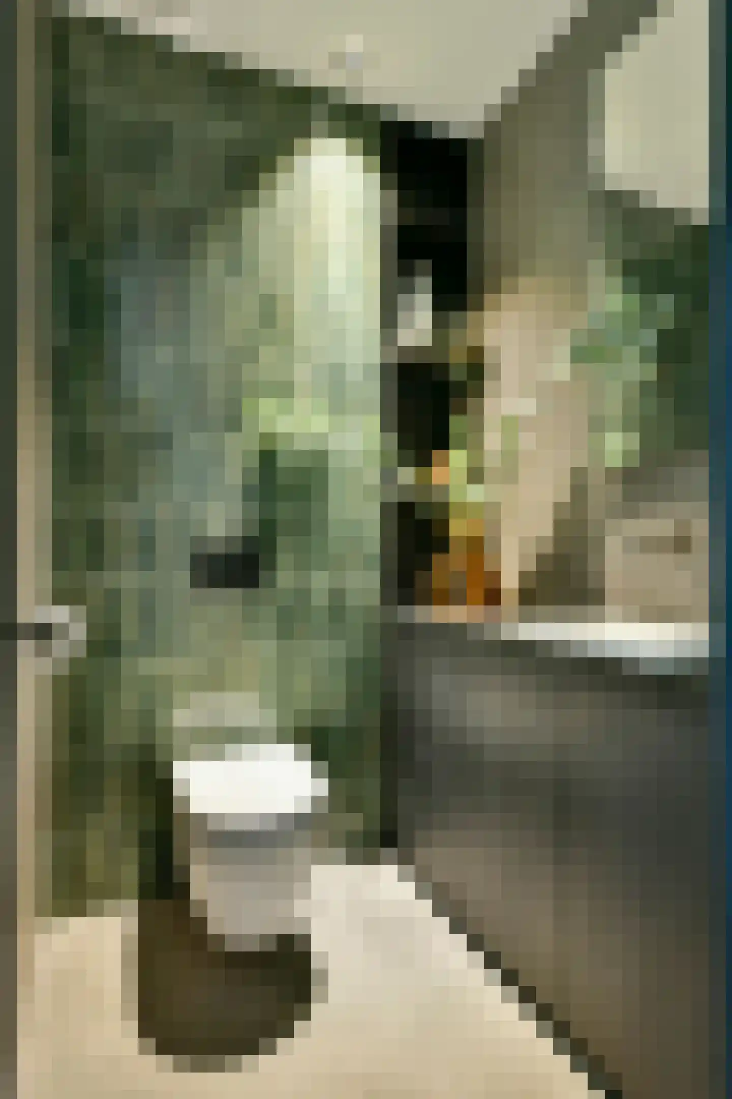 Pieter de Hoochstraat 11 F 4 Amsterdam thumbnail 25
