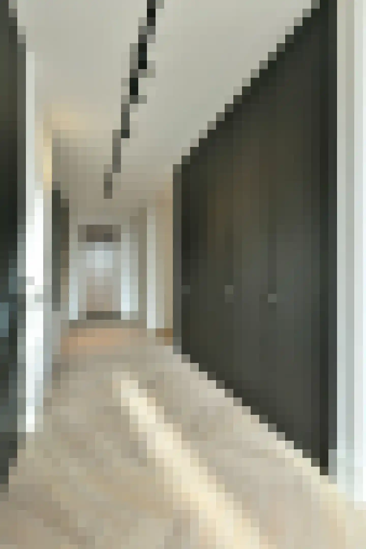 Pieter de Hoochstraat 11 F 4 Amsterdam thumbnail 30