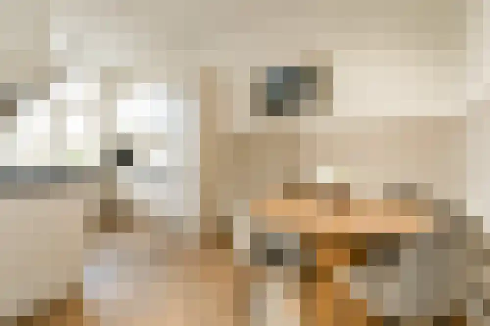 Pieter de Hoochstraat 14 2 Amsterdam thumbnail 10