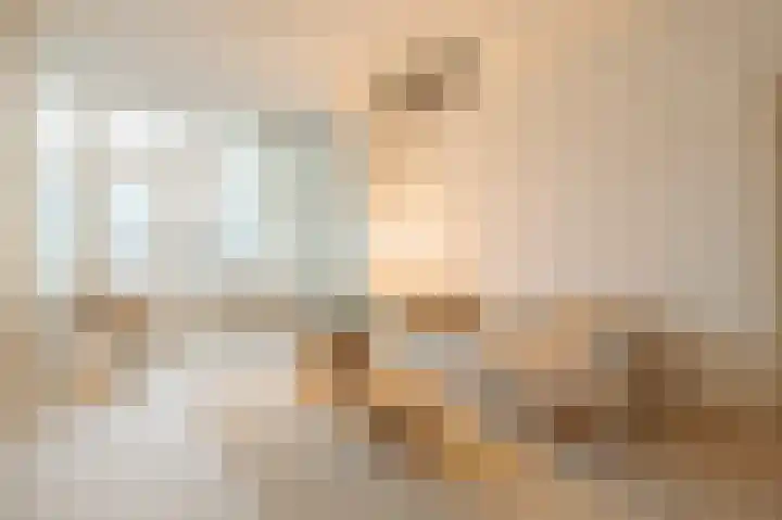 Pieter de Hoochstraat 14 2 Amsterdam thumbnail 4