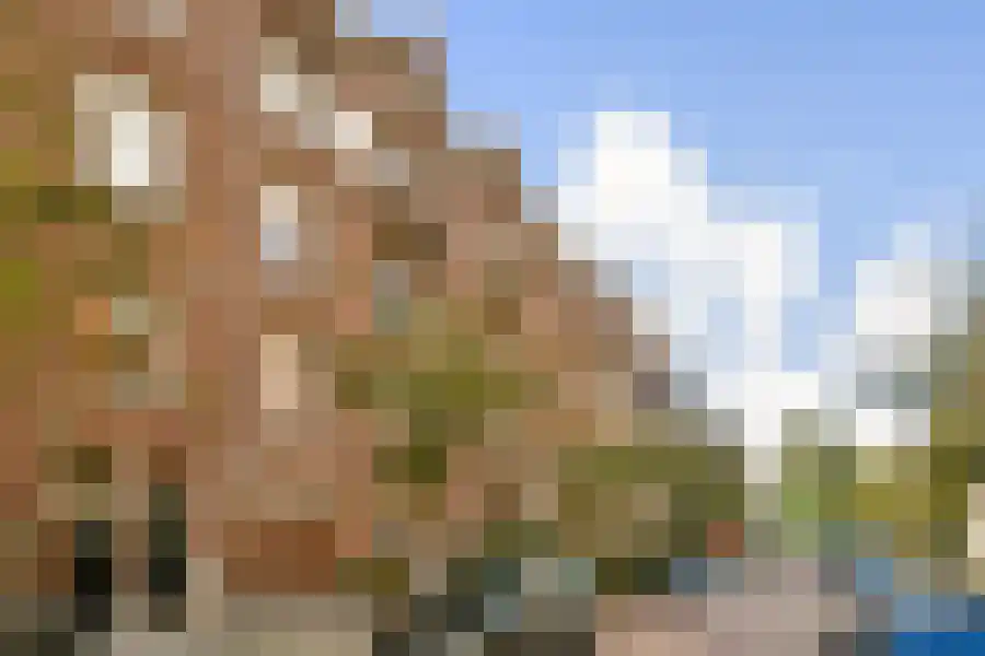 Pieter de Hoochstraat 14 2 Amsterdam thumbnail 7