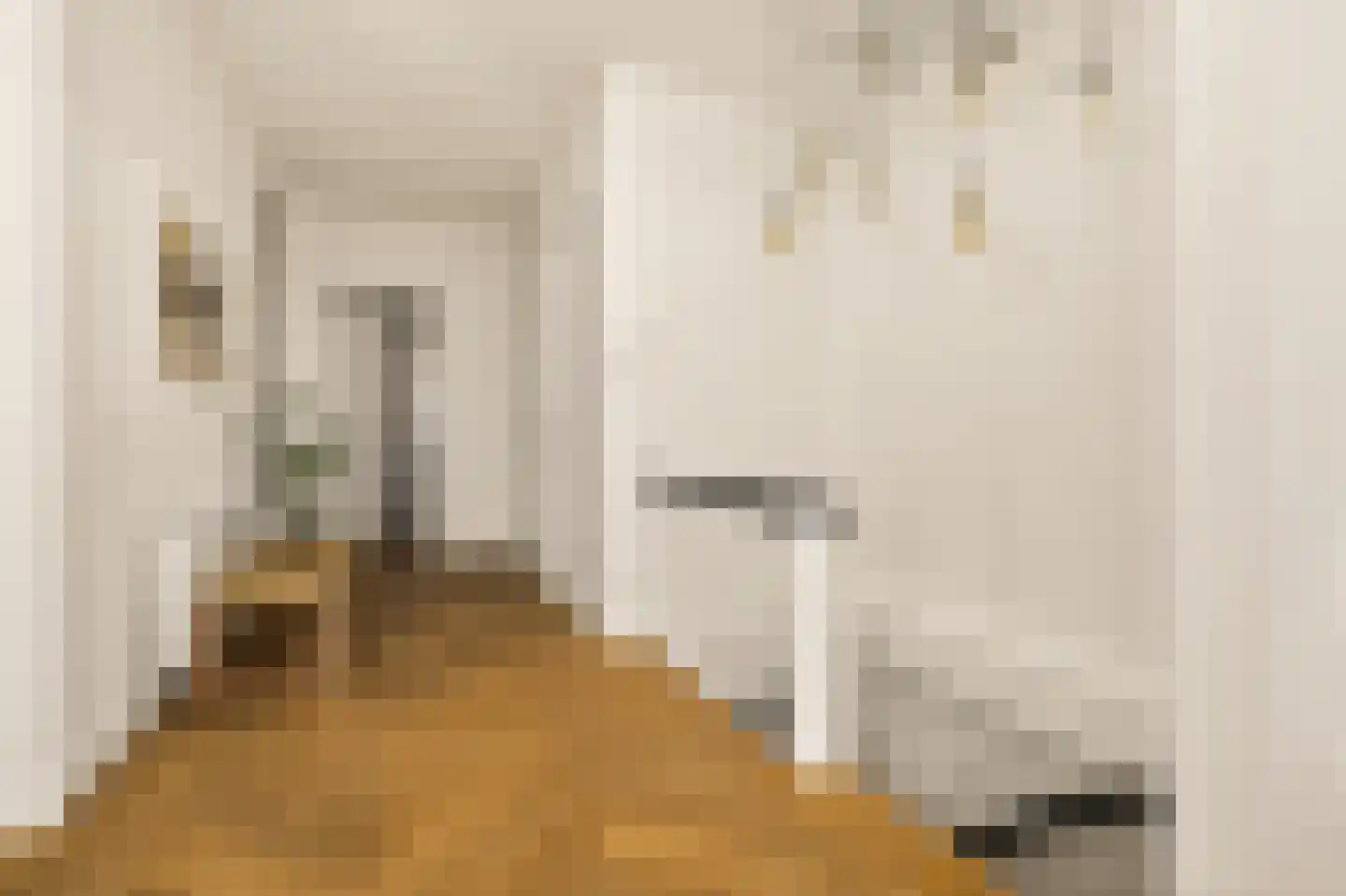 Pieter de Hoochstraat 16 4 Amsterdam thumbnail 14