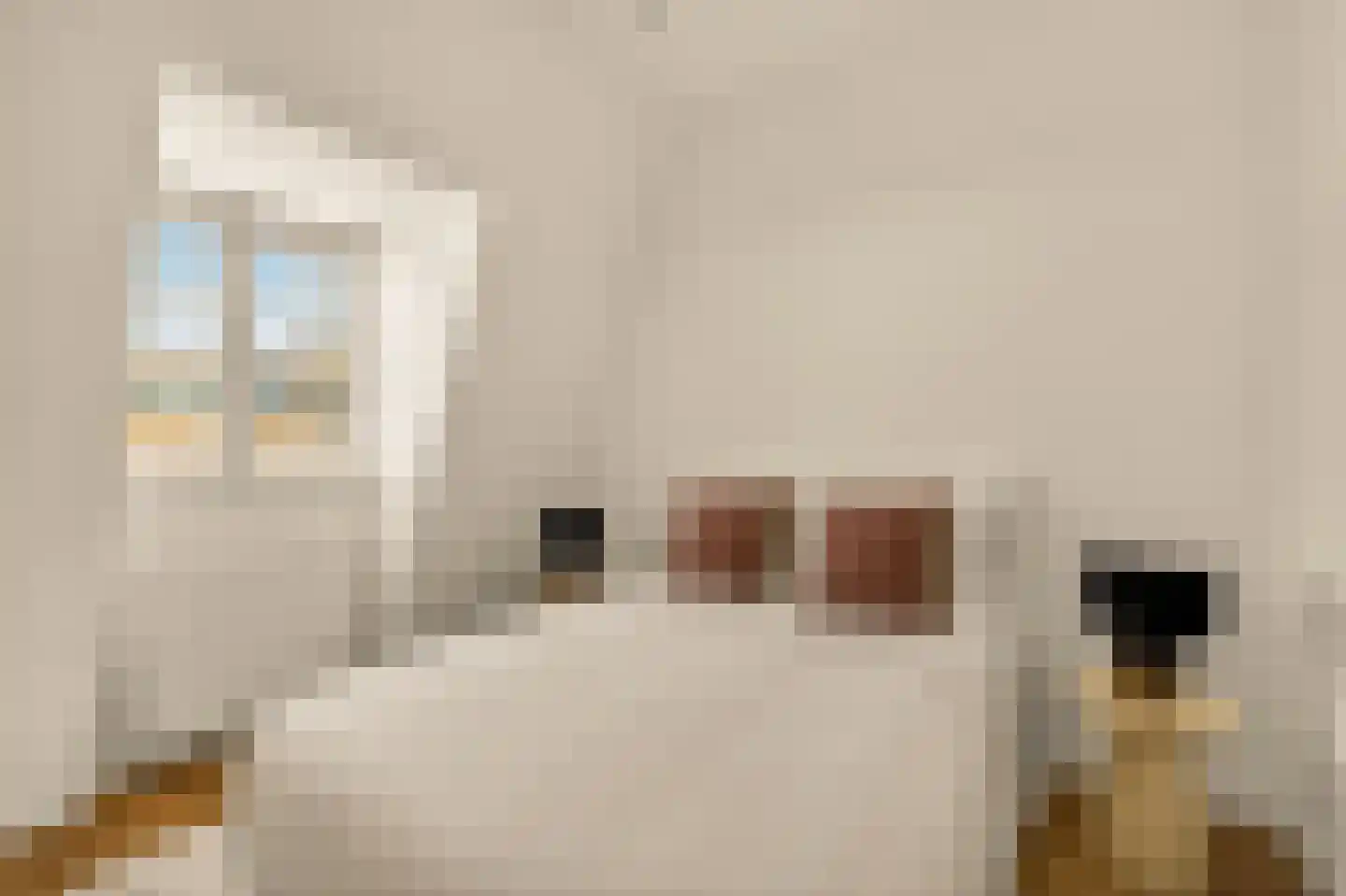 Pieter de Hoochstraat 16 4 Amsterdam thumbnail 17