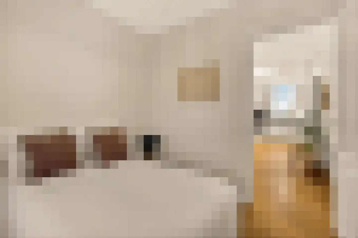 Pieter de Hoochstraat 16 4 Amsterdam thumbnail 18