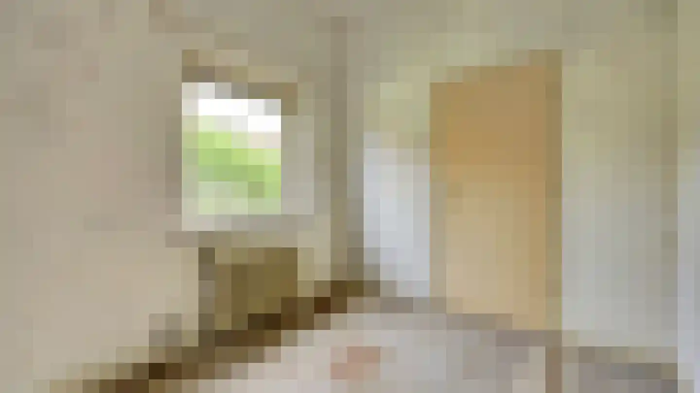 Pieter de Hoochstraat 17 Almelo thumbnail 10