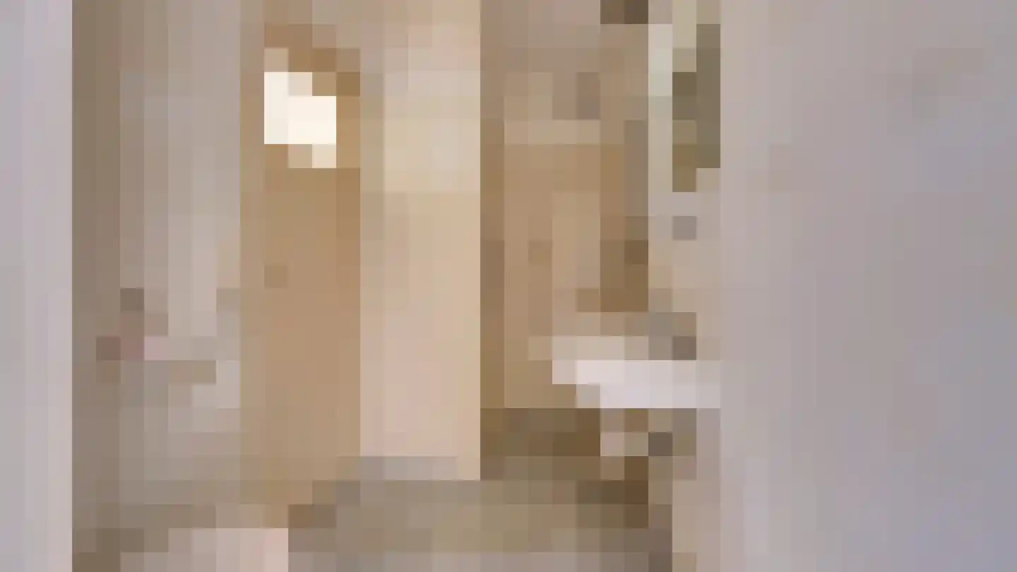 Pieter de Hoochstraat 17 Almelo thumbnail 13