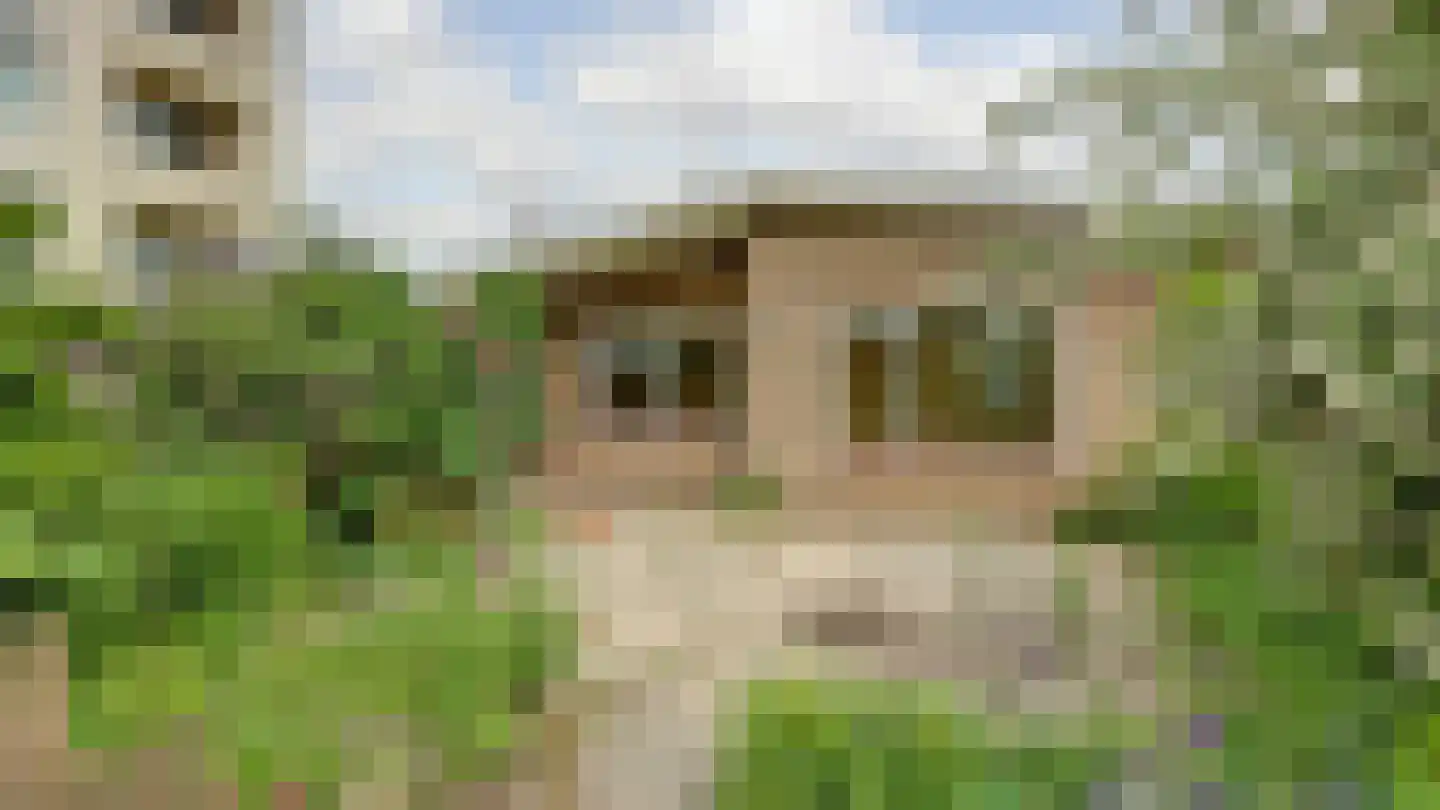 Pieter de Hoochstraat 17 Almelo thumbnail 14