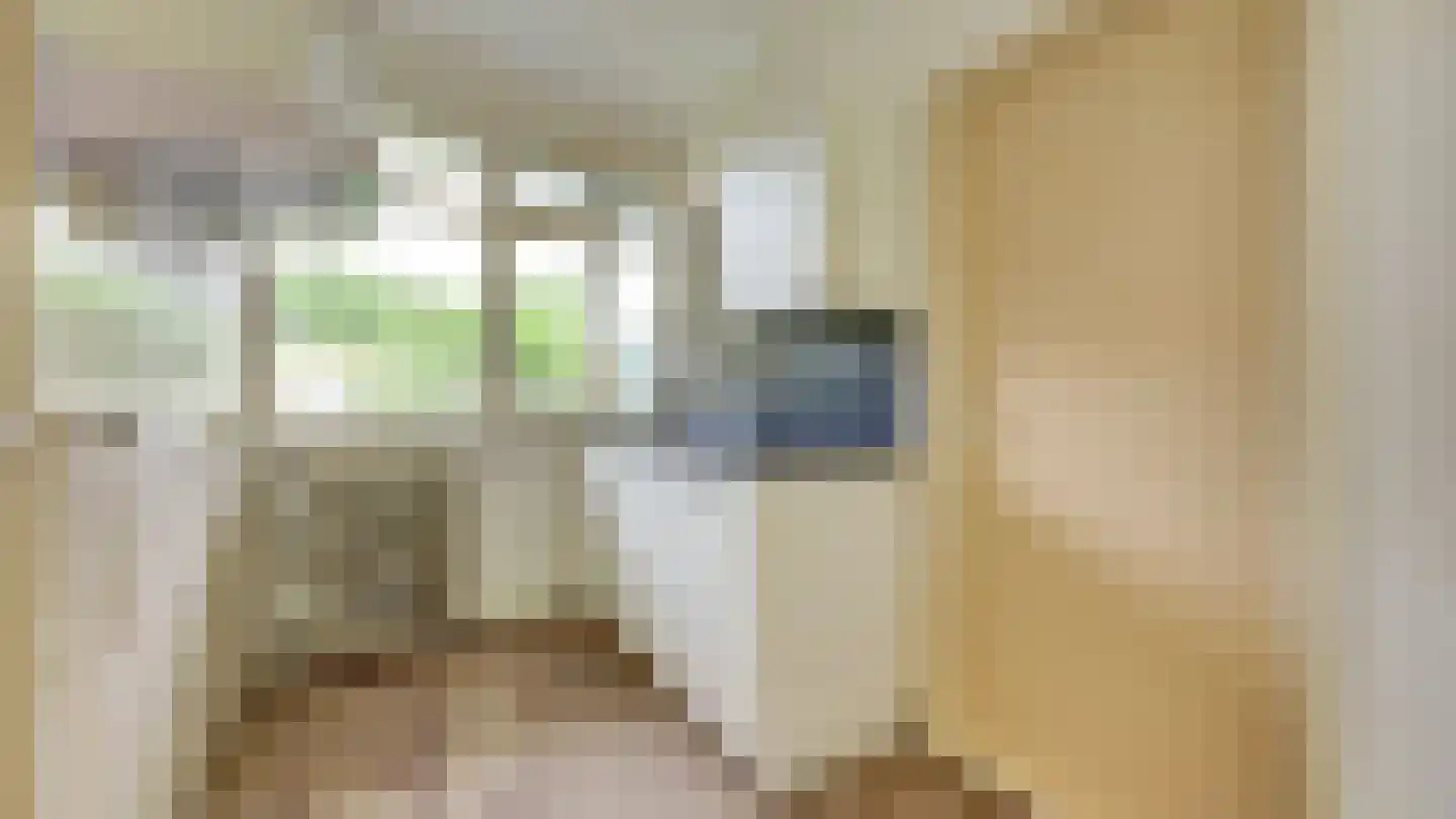 Pieter de Hoochstraat 17 Almelo thumbnail 7