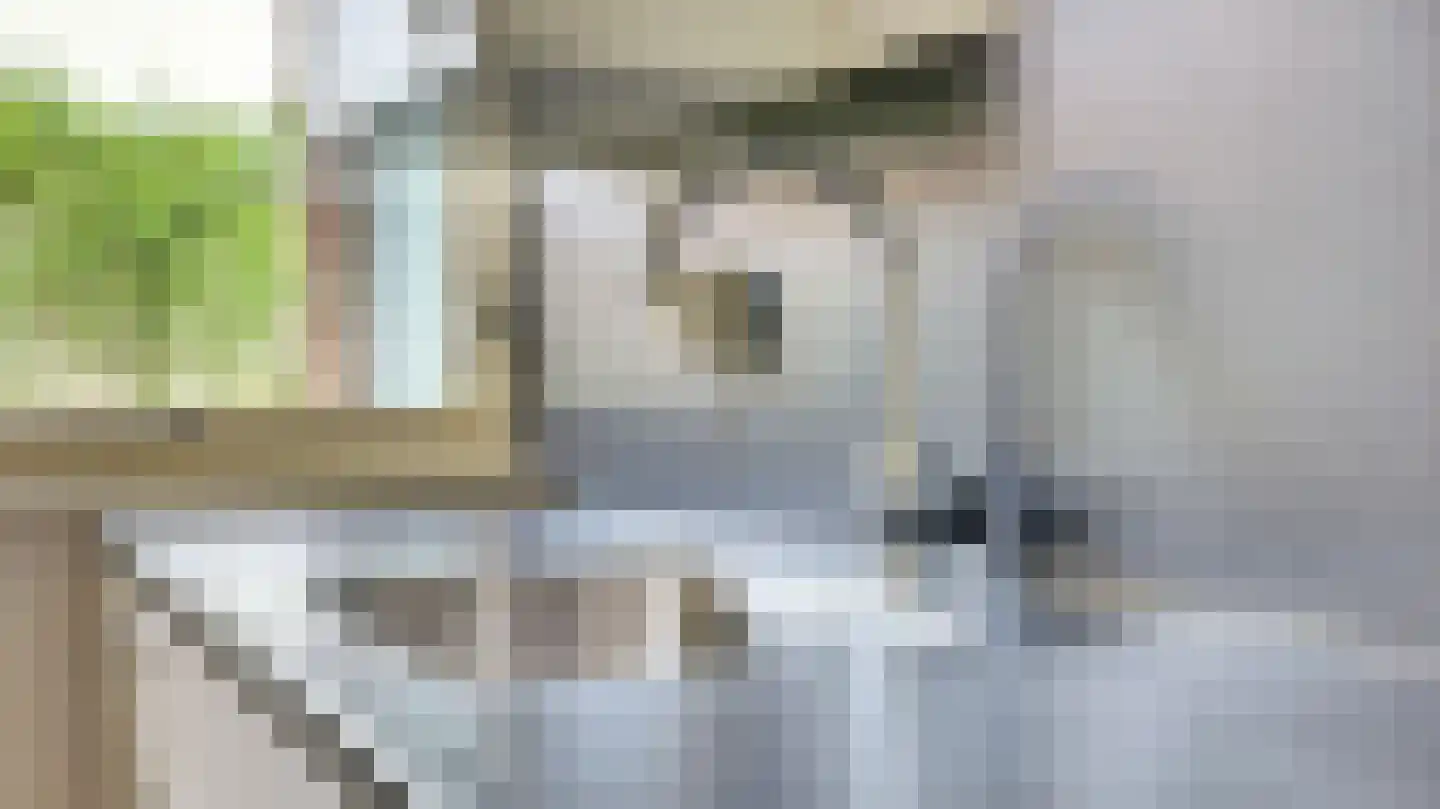 Pieter de Hoochstraat 17 Almelo thumbnail 8