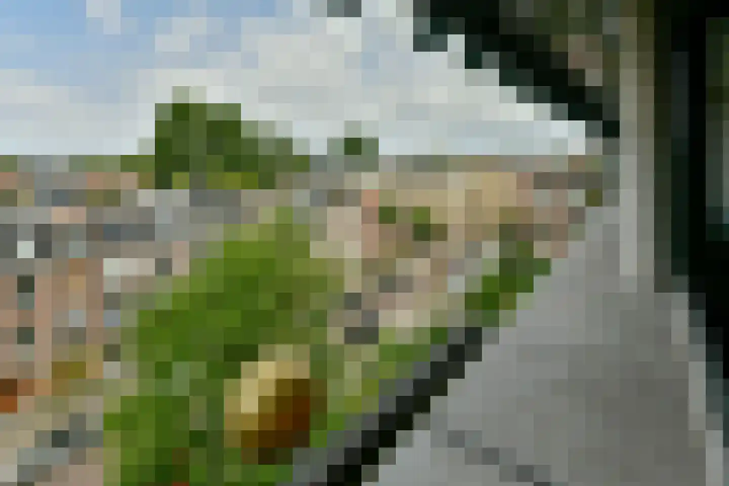 Pieter de Hoochstraat 17 G Amsterdam thumbnail 10