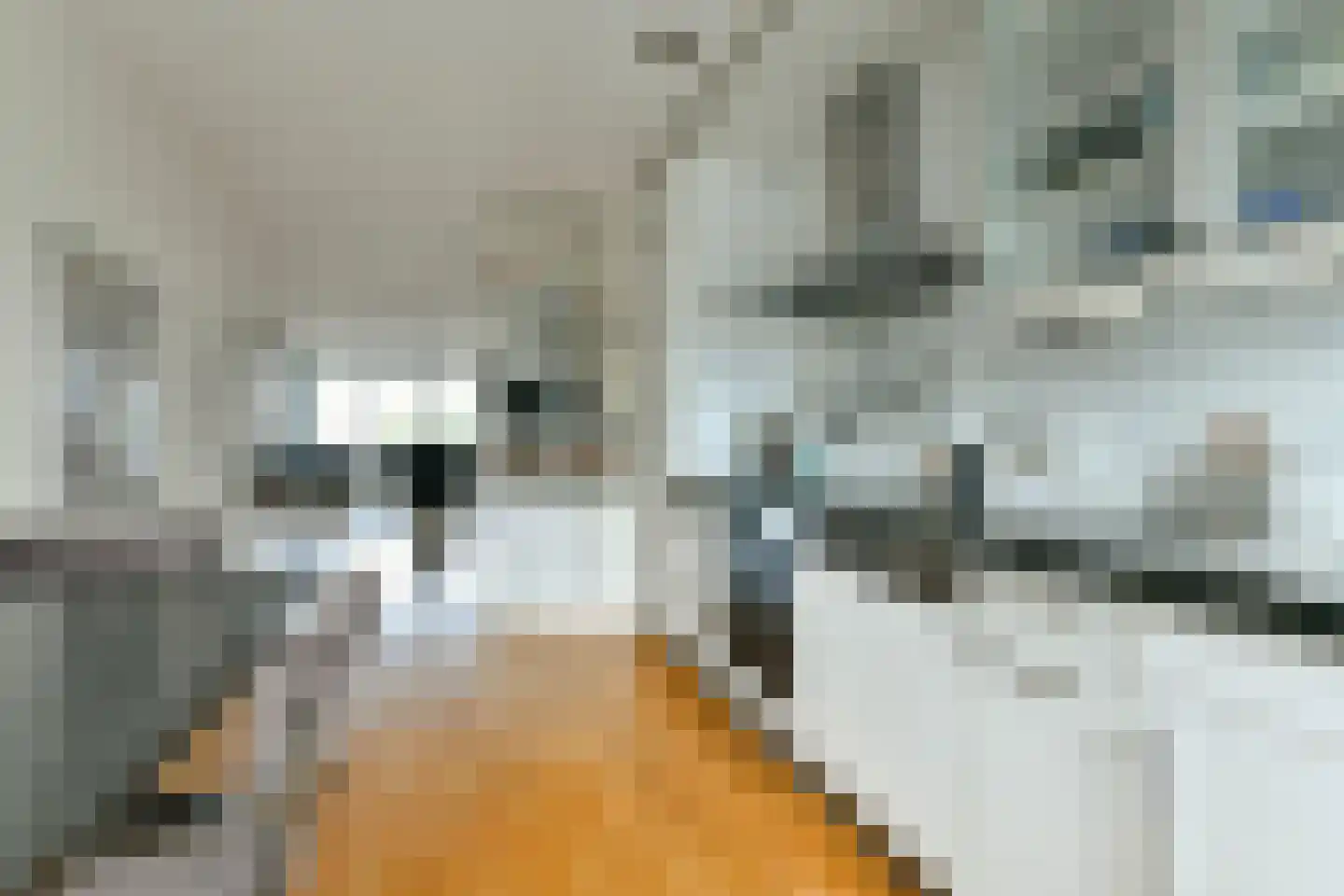 Pieter de Hoochstraat 17 G Amsterdam thumbnail 8