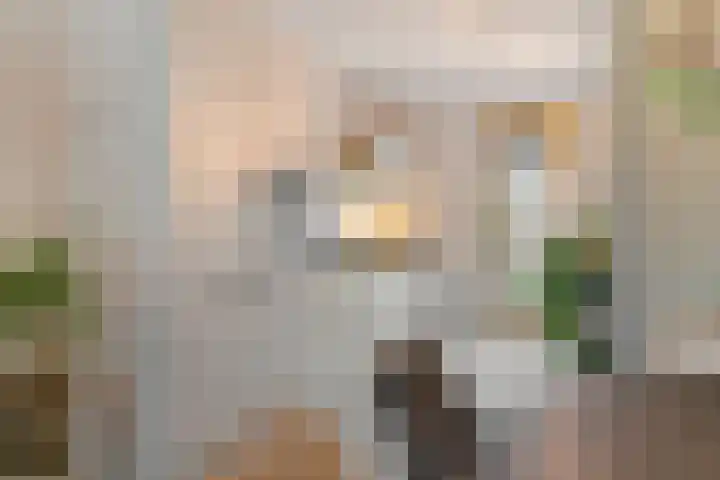 Pieter de Hoochstraat 2 Dordrecht thumbnail 6