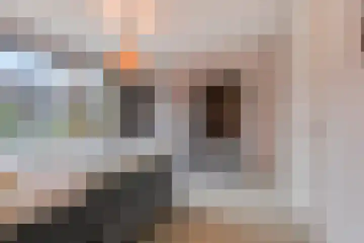 Pieter de Hoochstraat 2 Dordrecht thumbnail 9