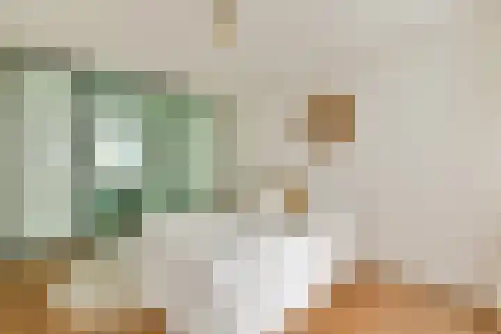 Pieter de Hoochstraat 21 B Amsterdam thumbnail 17