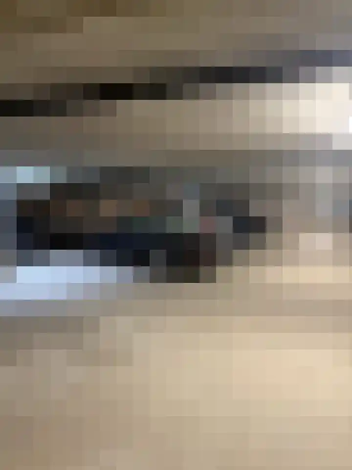 Pieter de Hoochstraat 21 B Amsterdam thumbnail 19