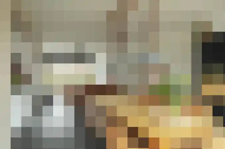 Pieter de Hoochstraat 21 Ridderkerk thumbnail 12