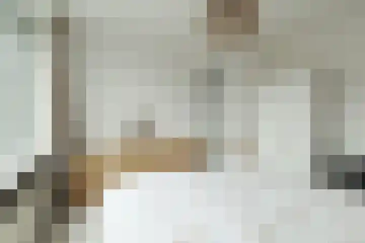 Pieter de Hoochstraat 21 Ridderkerk thumbnail 18