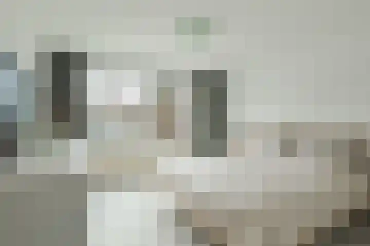 Pieter de Hoochstraat 21 Ridderkerk thumbnail 4