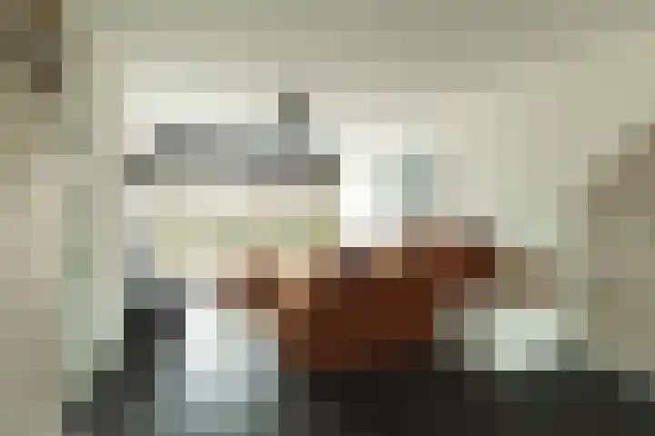 Pieter de Hoochstraat 21 Ridderkerk thumbnail 9