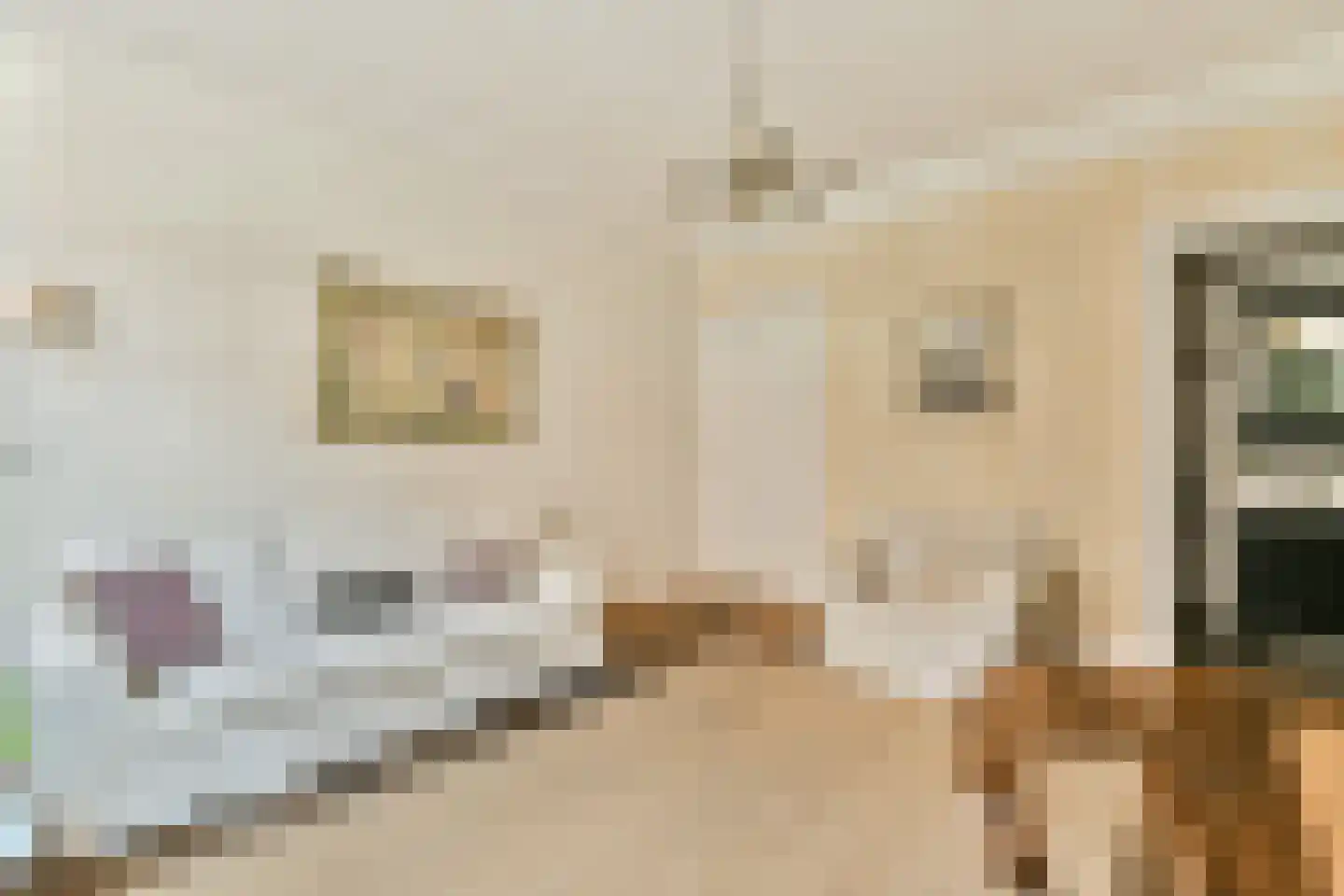 Pieter de Hoochstraat 3 2 Amsterdam thumbnail 10