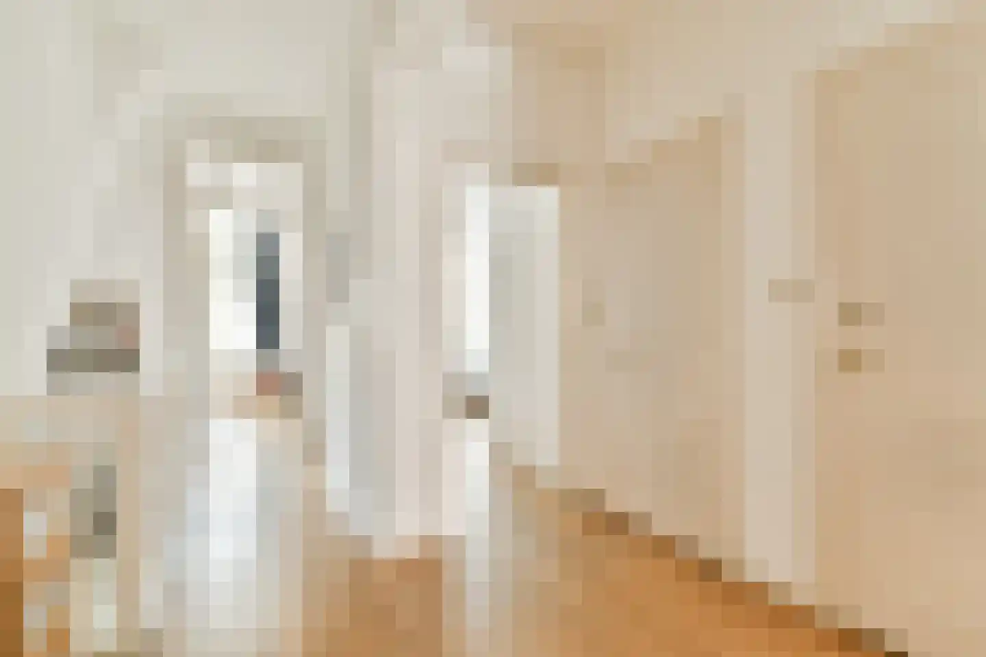 Pieter de Hoochstraat 3 2 Amsterdam thumbnail 14