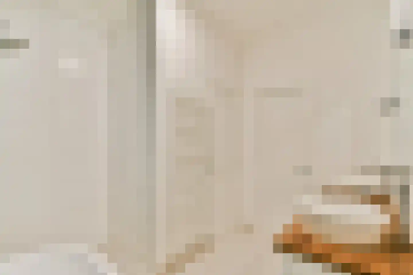Pieter de Hoochstraat 3 2 Amsterdam thumbnail 18
