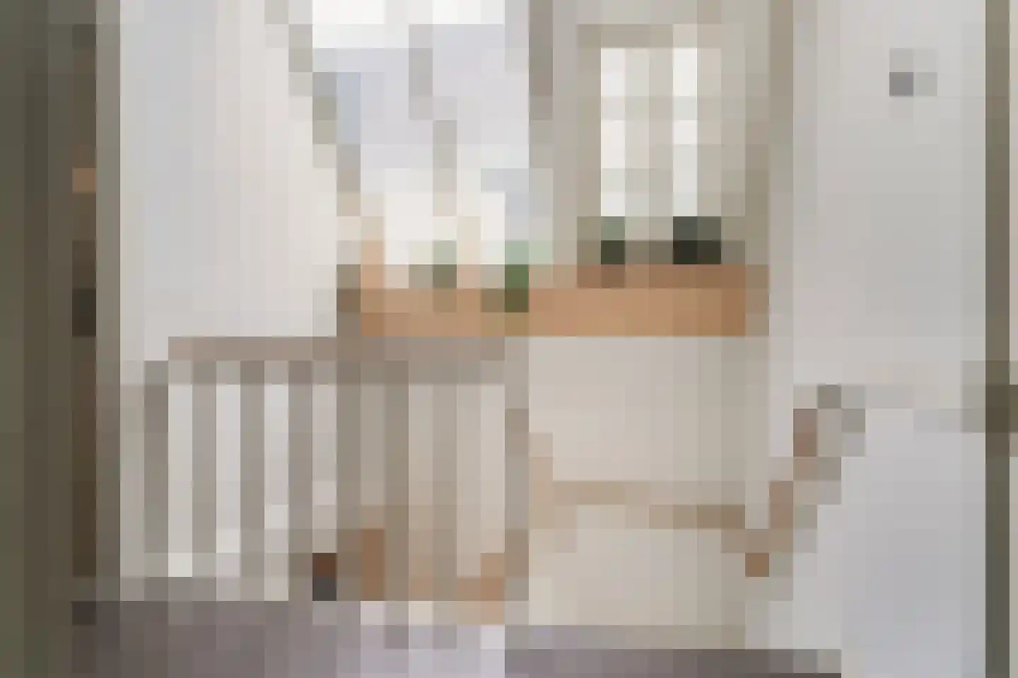 Pieter de Hoochstraat 3 2 Amsterdam thumbnail 52