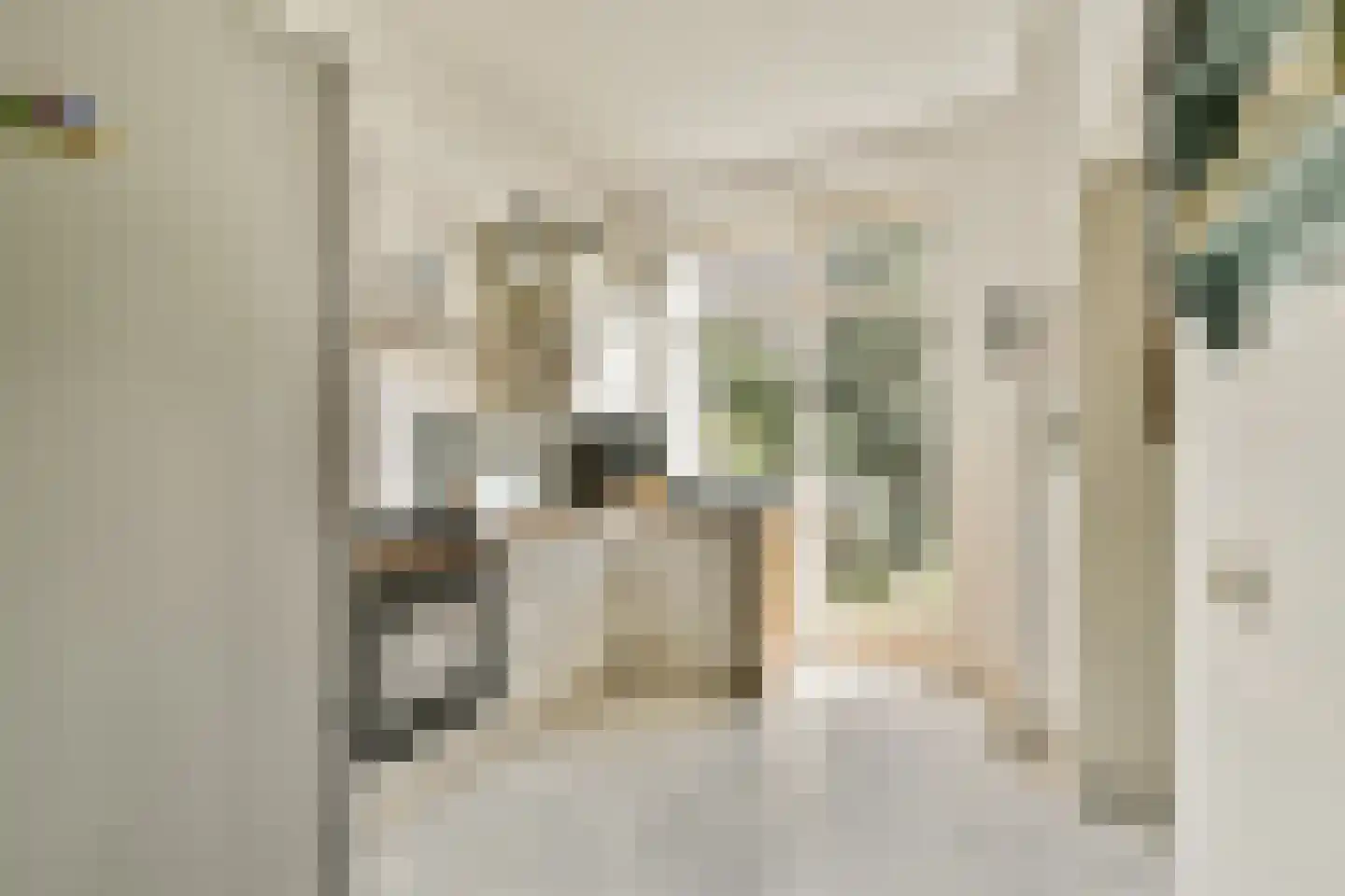 Pieter de Hoochstraat 3 2 Amsterdam thumbnail 6