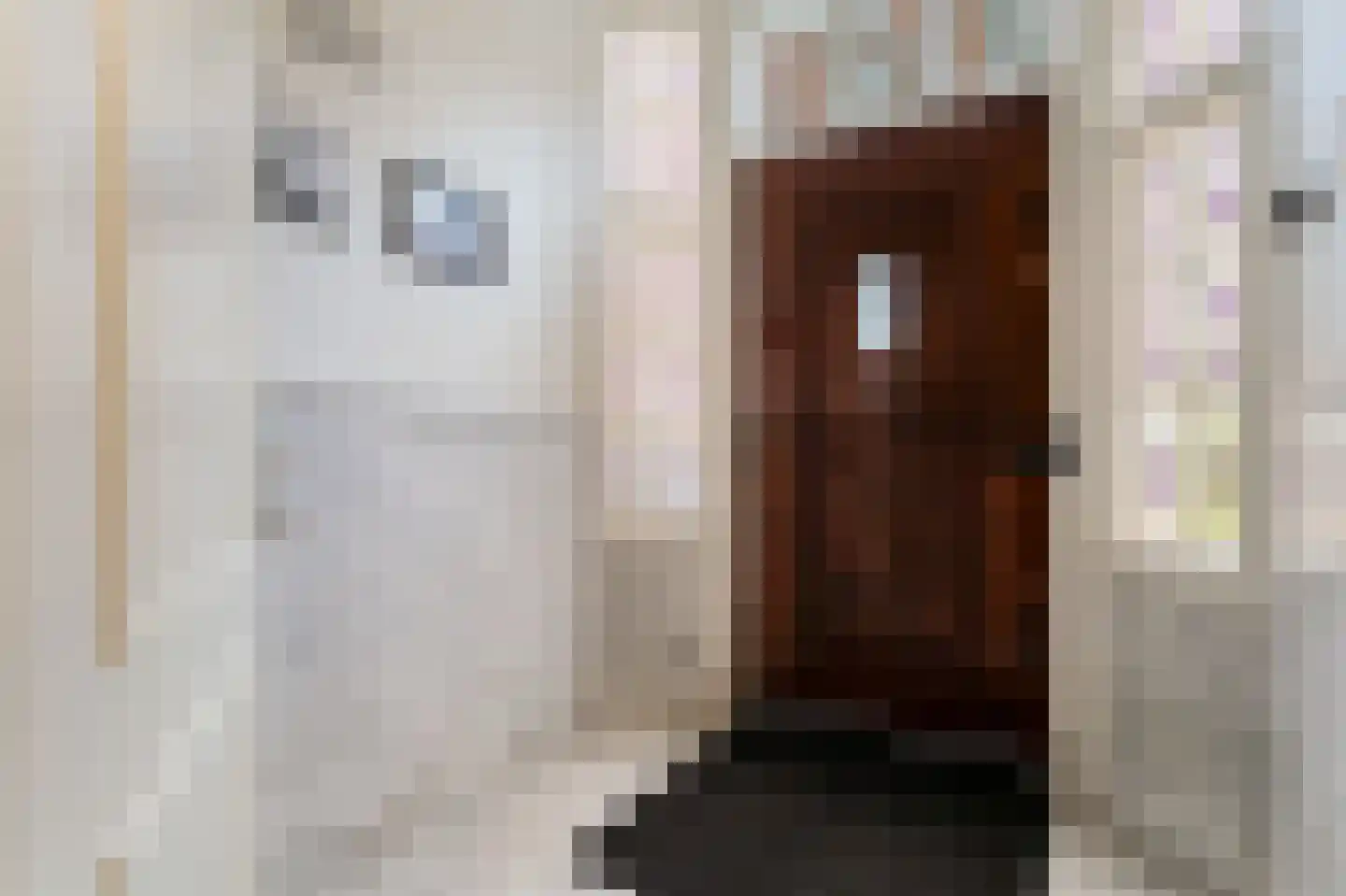 Pieter de Hoochstraat 3 2 Amsterdam thumbnail 60