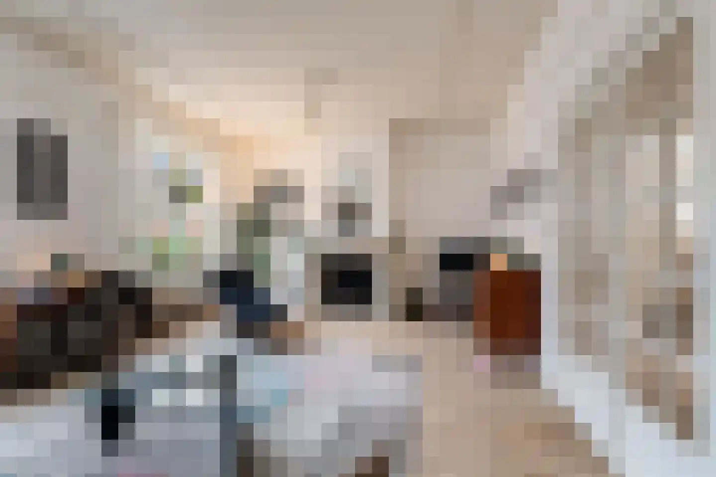 Pieter de Hoochstraat 3 H Amsterdam thumbnail 10