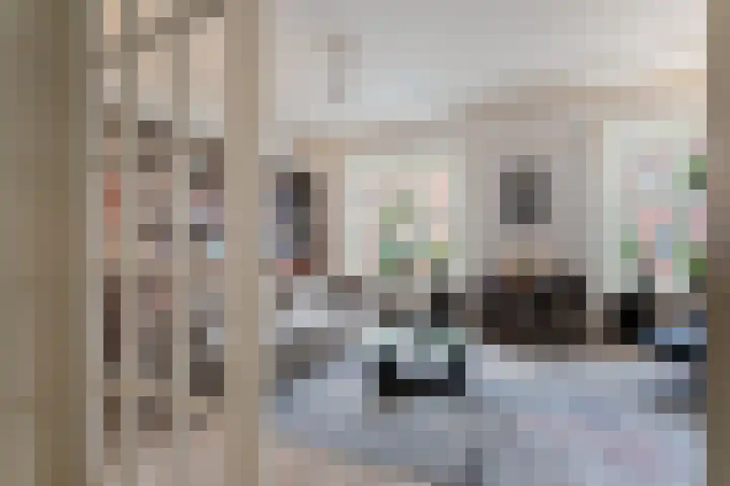 Pieter de Hoochstraat 3 H Amsterdam thumbnail 11