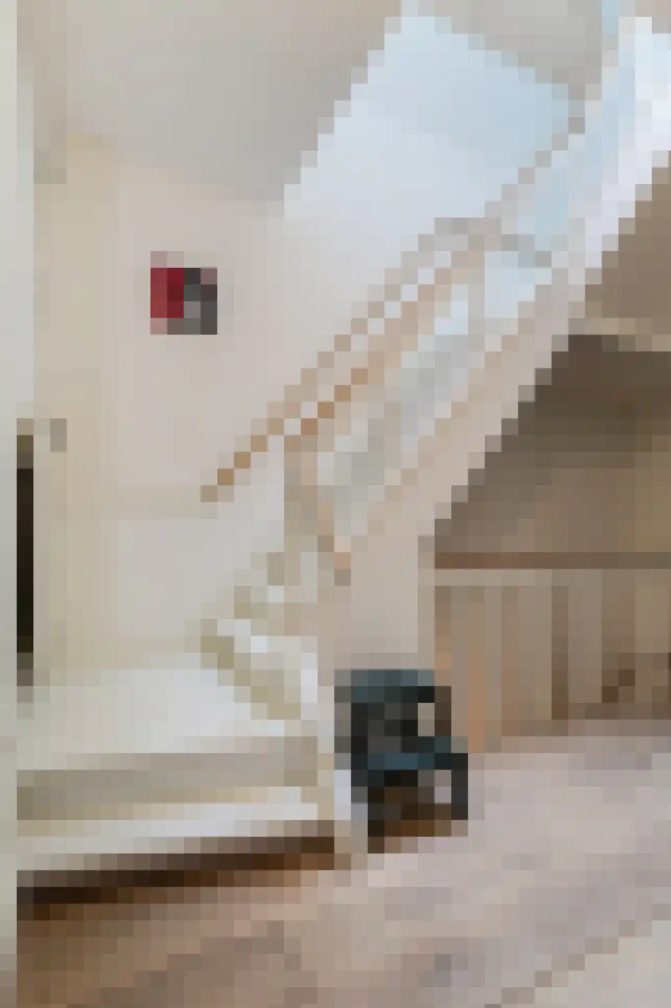 Pieter de Hoochstraat 3 H Amsterdam thumbnail 37