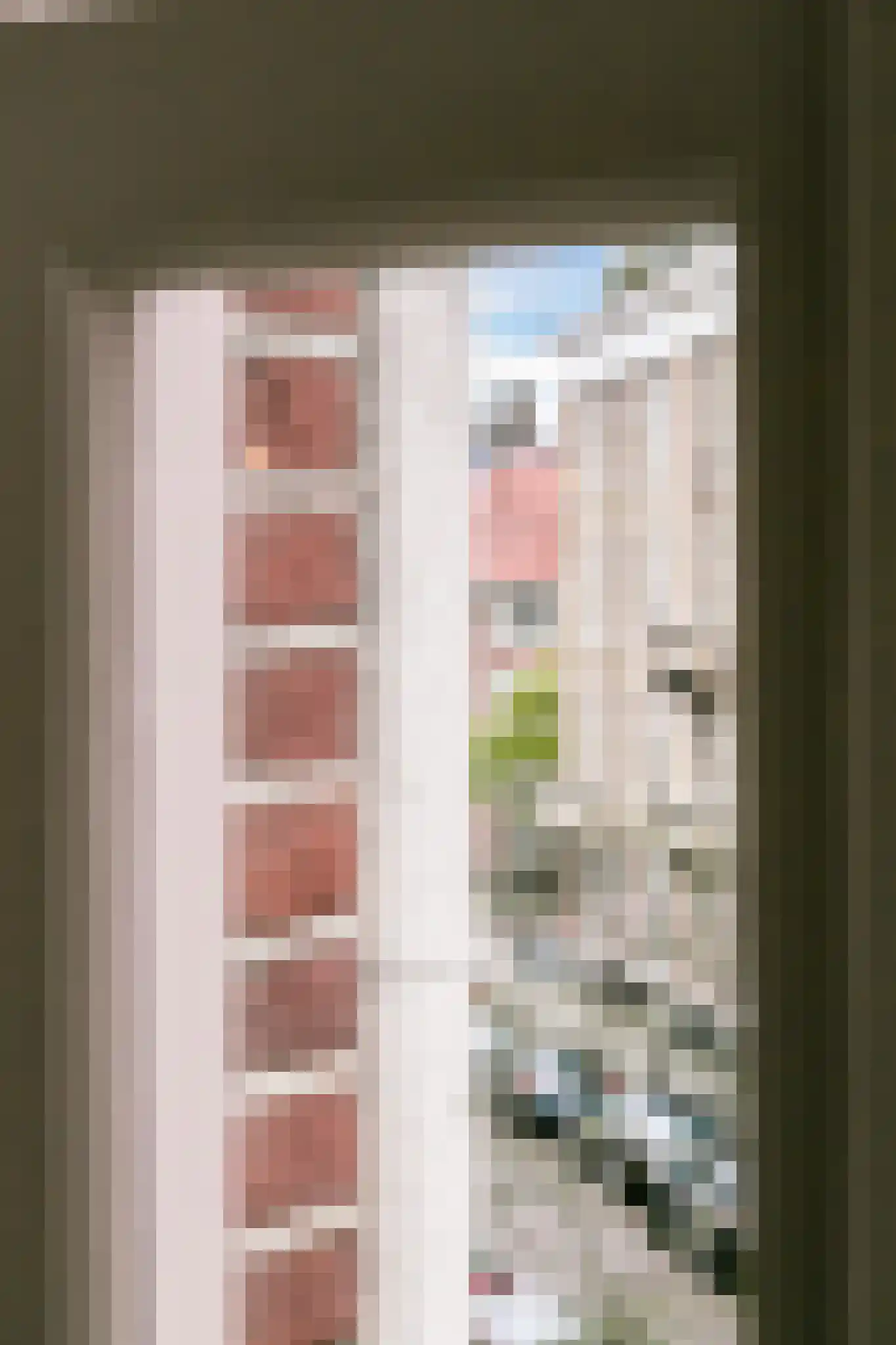 Pieter de Hoochstraat 3 H Amsterdam thumbnail 44
