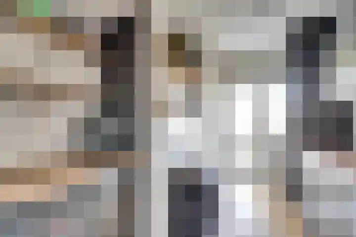 Pieter de Hoochstraat 30 Ridderkerk thumbnail 17