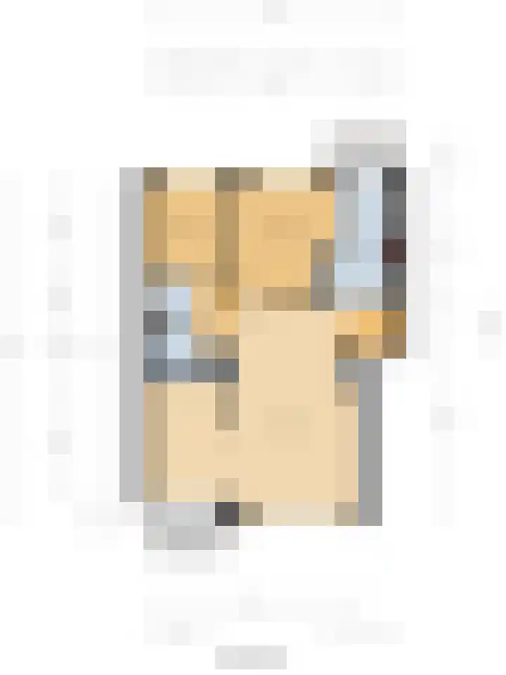 Pieter de Hoochstraat 30 Ridderkerk thumbnail 34